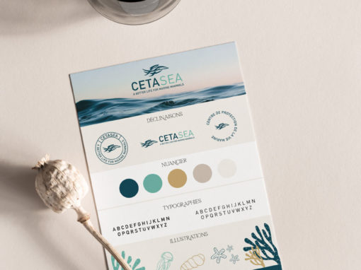 Cetasea