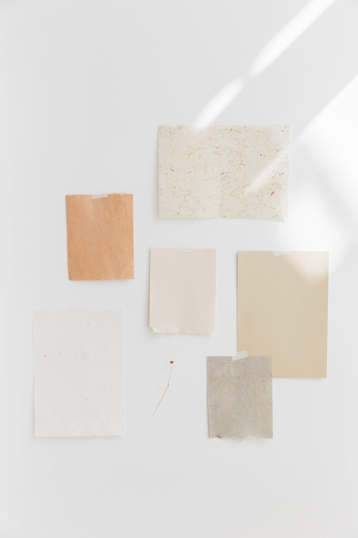 éco-couleur design éco-responsable