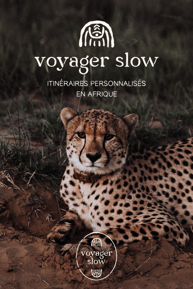 Identité visuelle Voyager slow travel planner